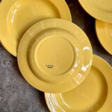 11 hollow plates in yellow earthenware