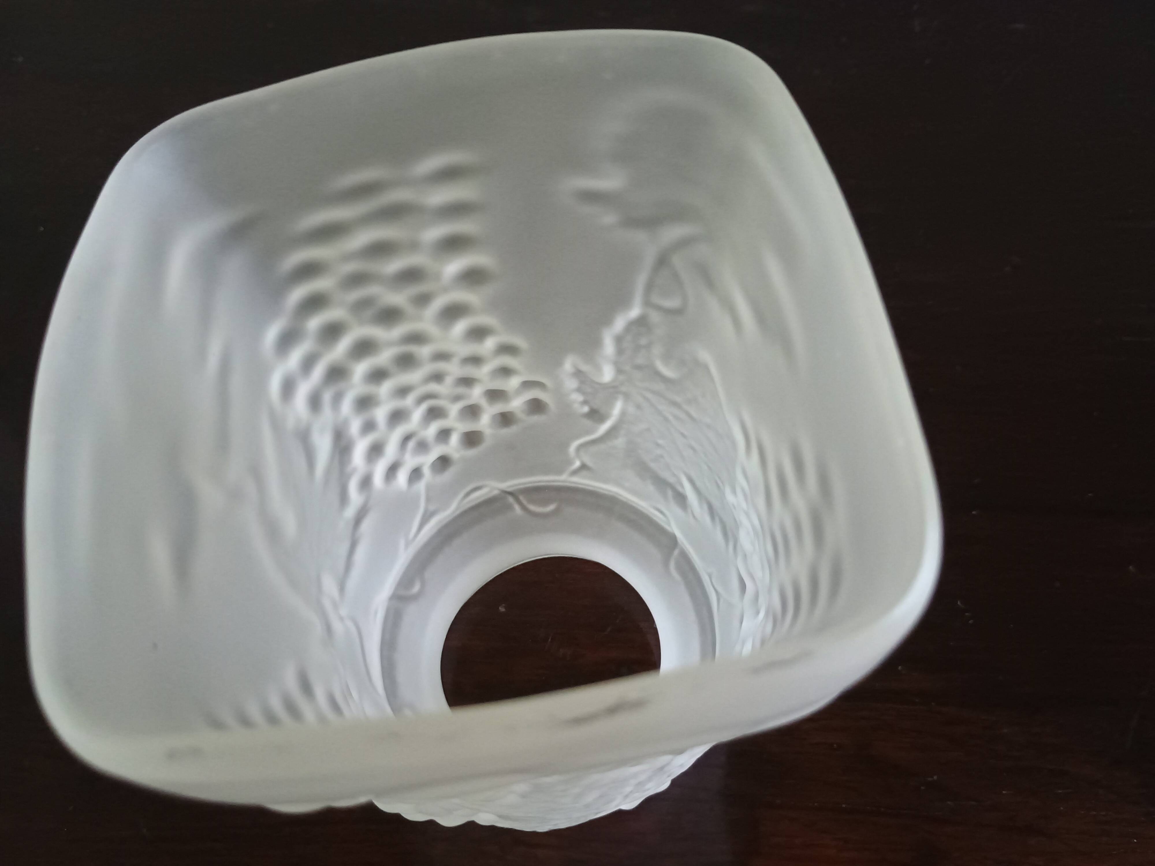 Tulipe lustre ou lampe moulé aux pampre de vigne raisin - verre dépoli