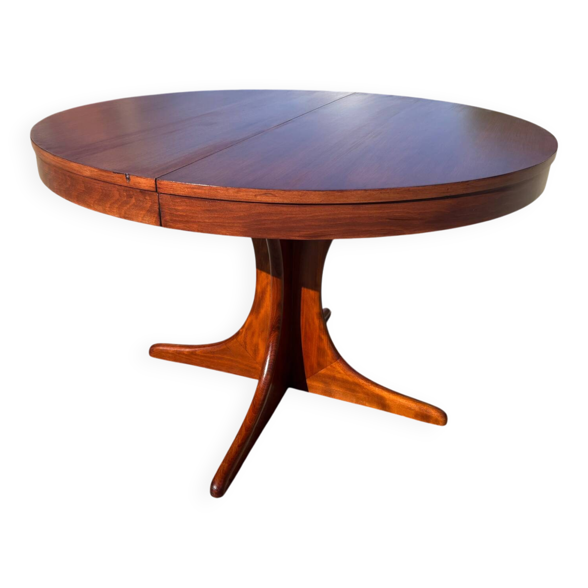 Baumann extendable table