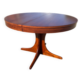 Baumann extendable table