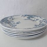 Iron earth 6 flat flower plates althaea