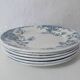 Terre de fer 6 assiettes plates fleurs althaea