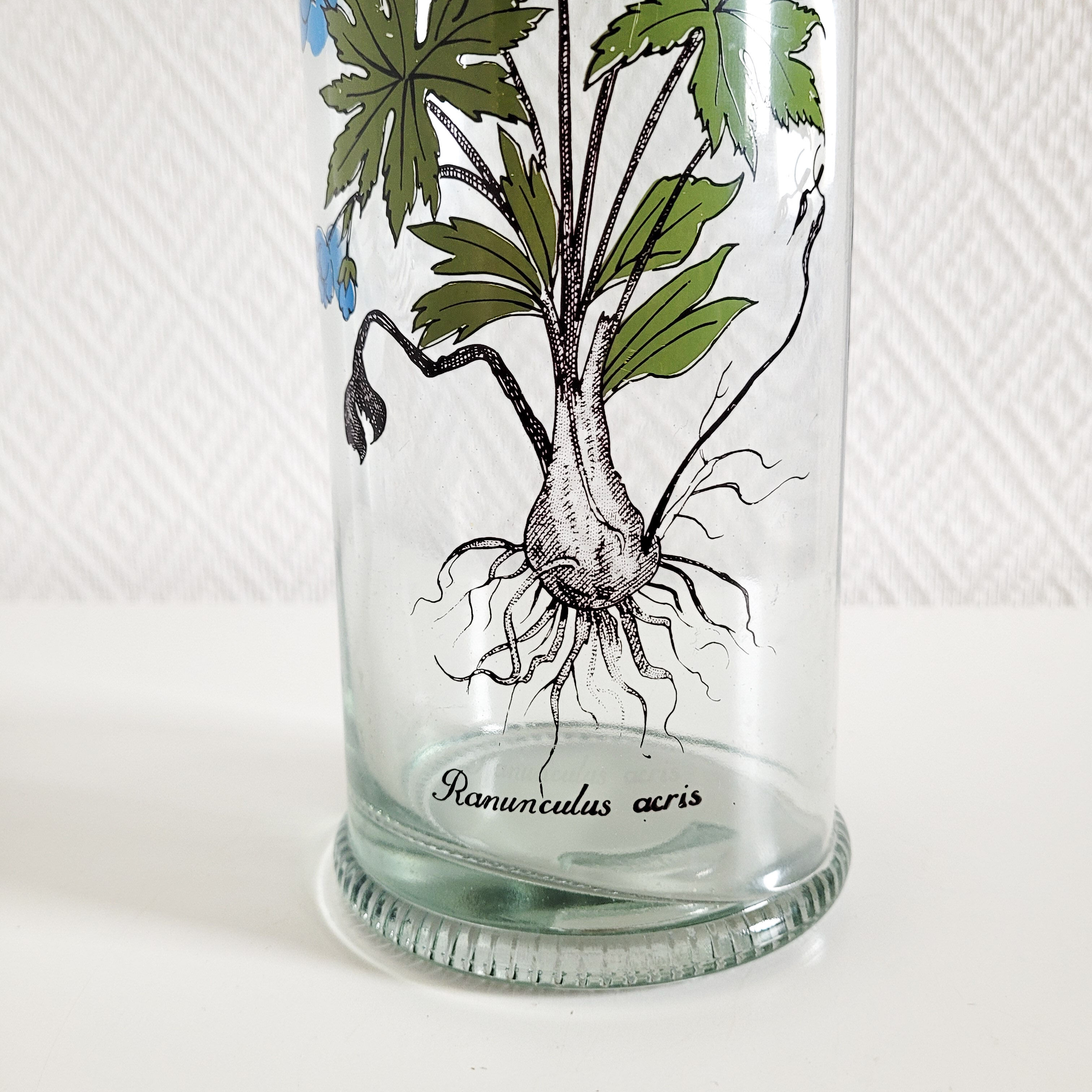 Batch of herbalism jars