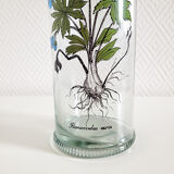 Batch of herbalism jars