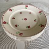 Set of 6 vintage and colorful flat plates
