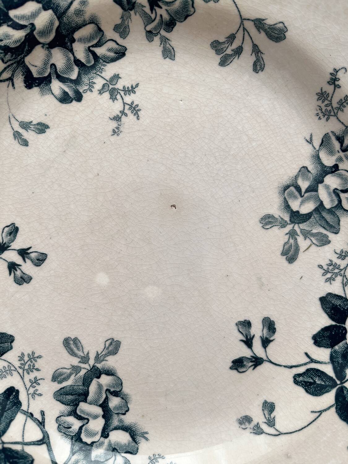 6 assiettes plates en terre de fer « Acacia » Moulin des Loups et Hamage