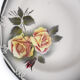 Serie de 6 assiettes Digoin