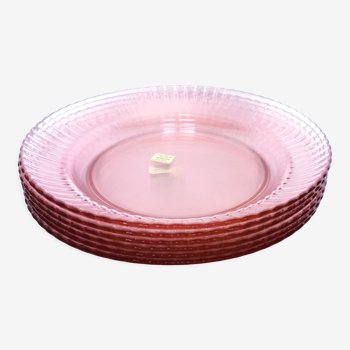 6 hollow plates glass pink Arcoroc