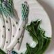 Assiettes barbotine Salins – décor asperges & artichaut