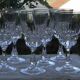 Set of 6 white wine glasses in arques crystal. pompadour model.