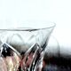 11 LIQUEUR GLASSES ST LOUIS CAMARGUE MODEL