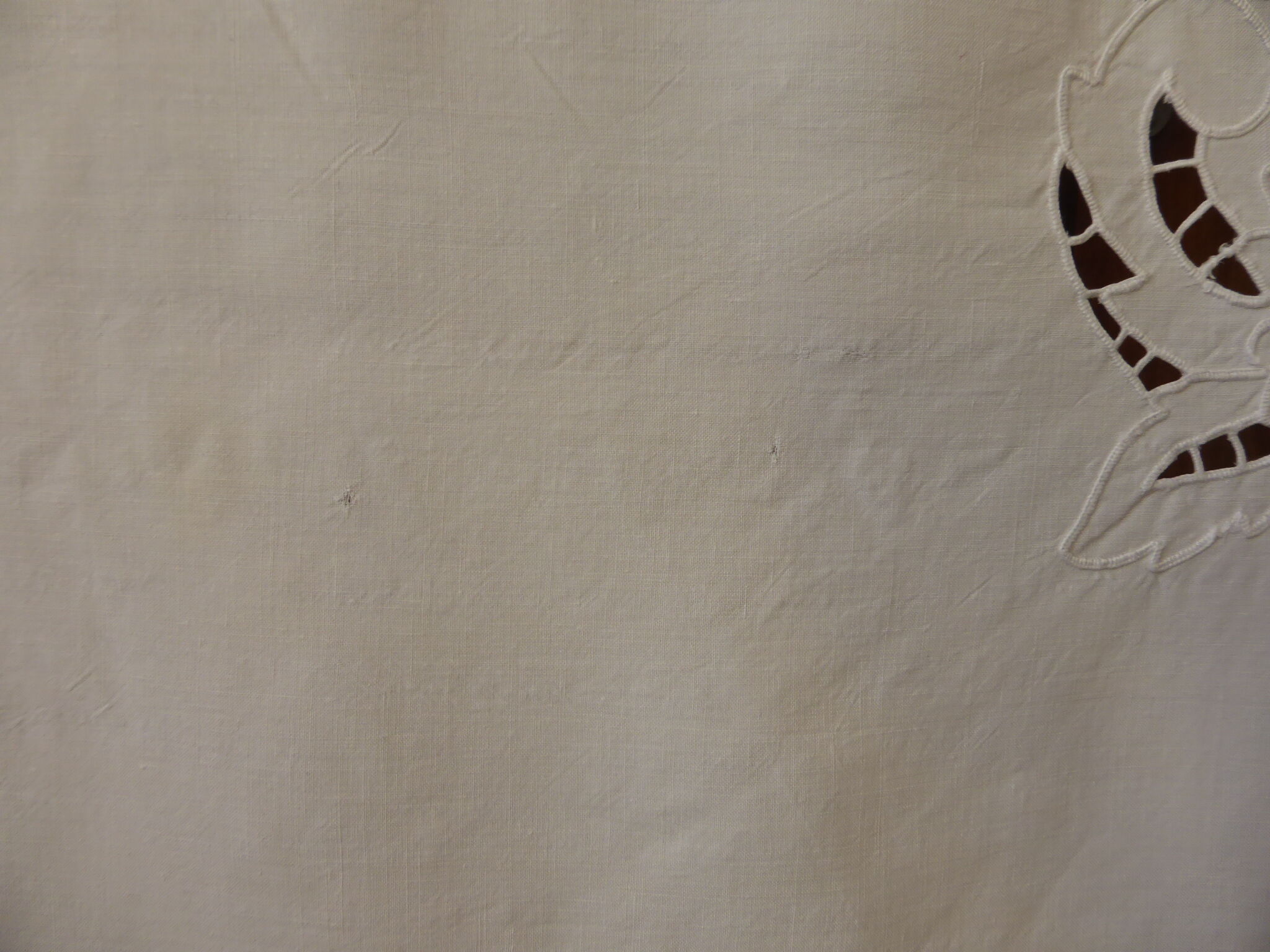 Antique tablecloth and 10 napkins in white linen embroidered with flowers, days and monogram PG-embroidery Richelieu