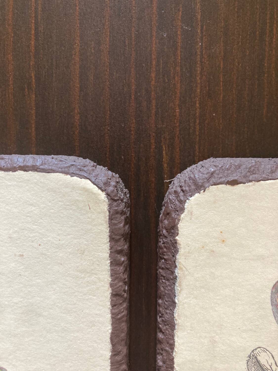 Lot de 2 tableaux en bois avec planche botanique papillons