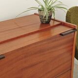 Blanket chest or mini bar UP Zavody by Frantisek Mezulanik year 60