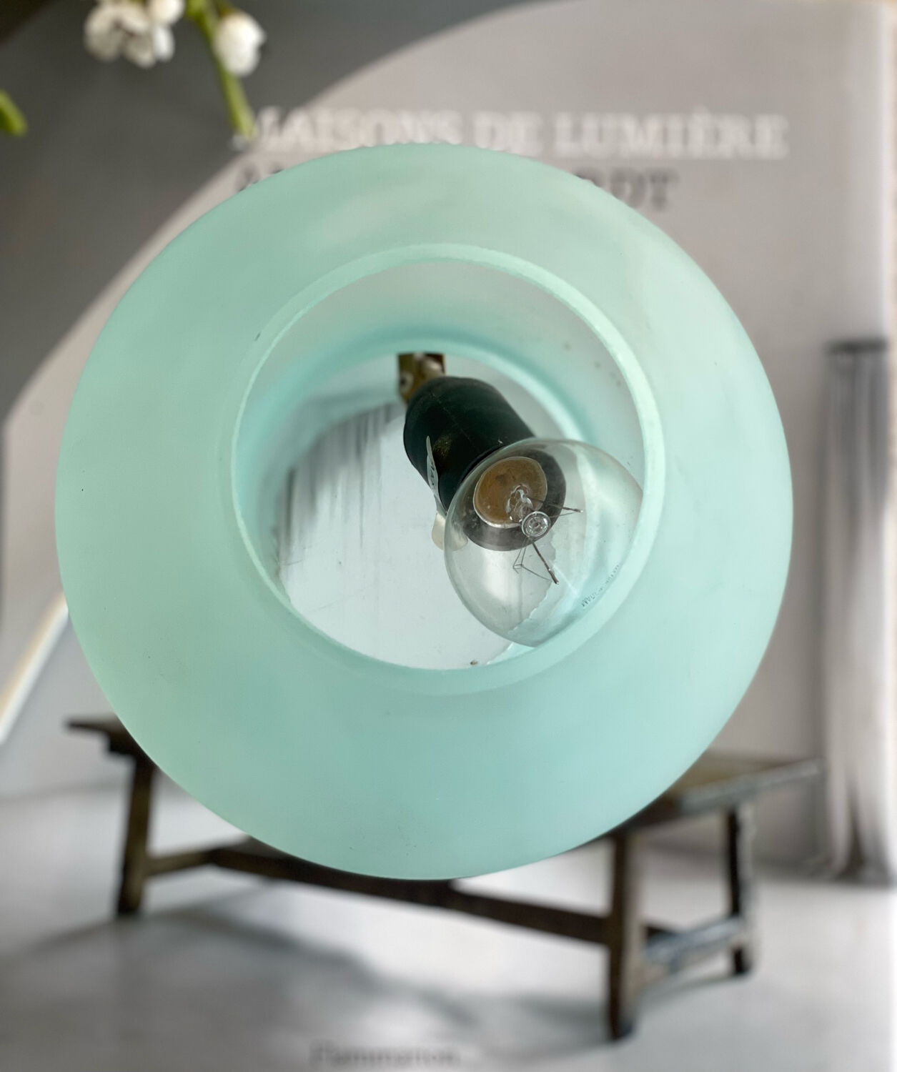 Frosted glass mushroom lamp