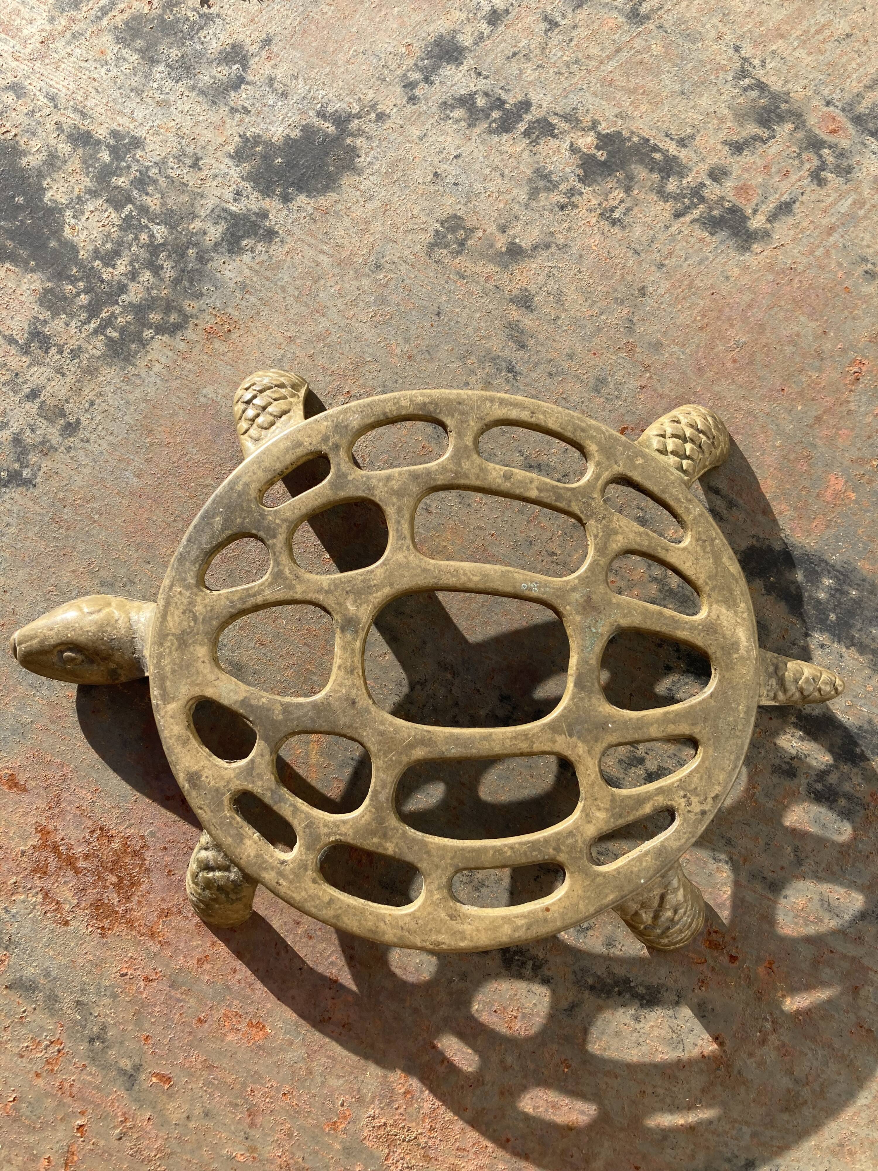 Vintage brass turtle trivia