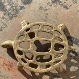 Vintage brass turtle trivia