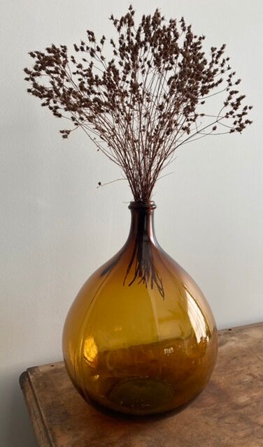 Lady-jeanne amber 10L bi-shade