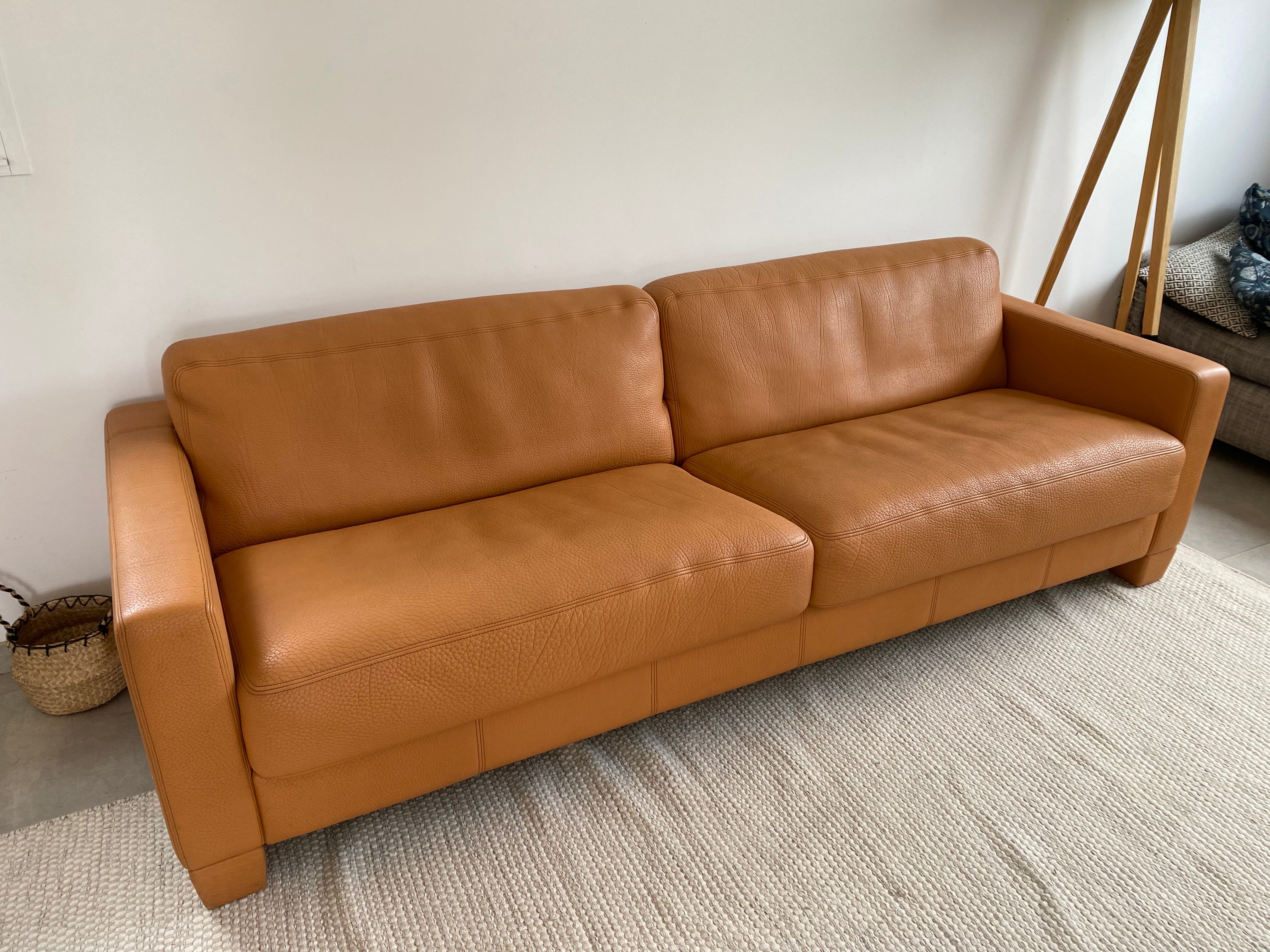 De Sede DS-17 3-seater sofa