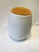 Chest chest plastic vintage modeled old allibert egg 1960 70