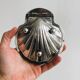 shell box in silver metal and worked glass