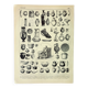 Gravure ancienne 1898, Poterie ancienne, vase, céramique • Lithographie originale et vintage