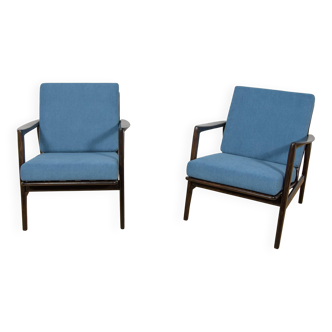 Model 300-139 Mid Century Modern Armchairs from Swarzędz Factory, Poland.