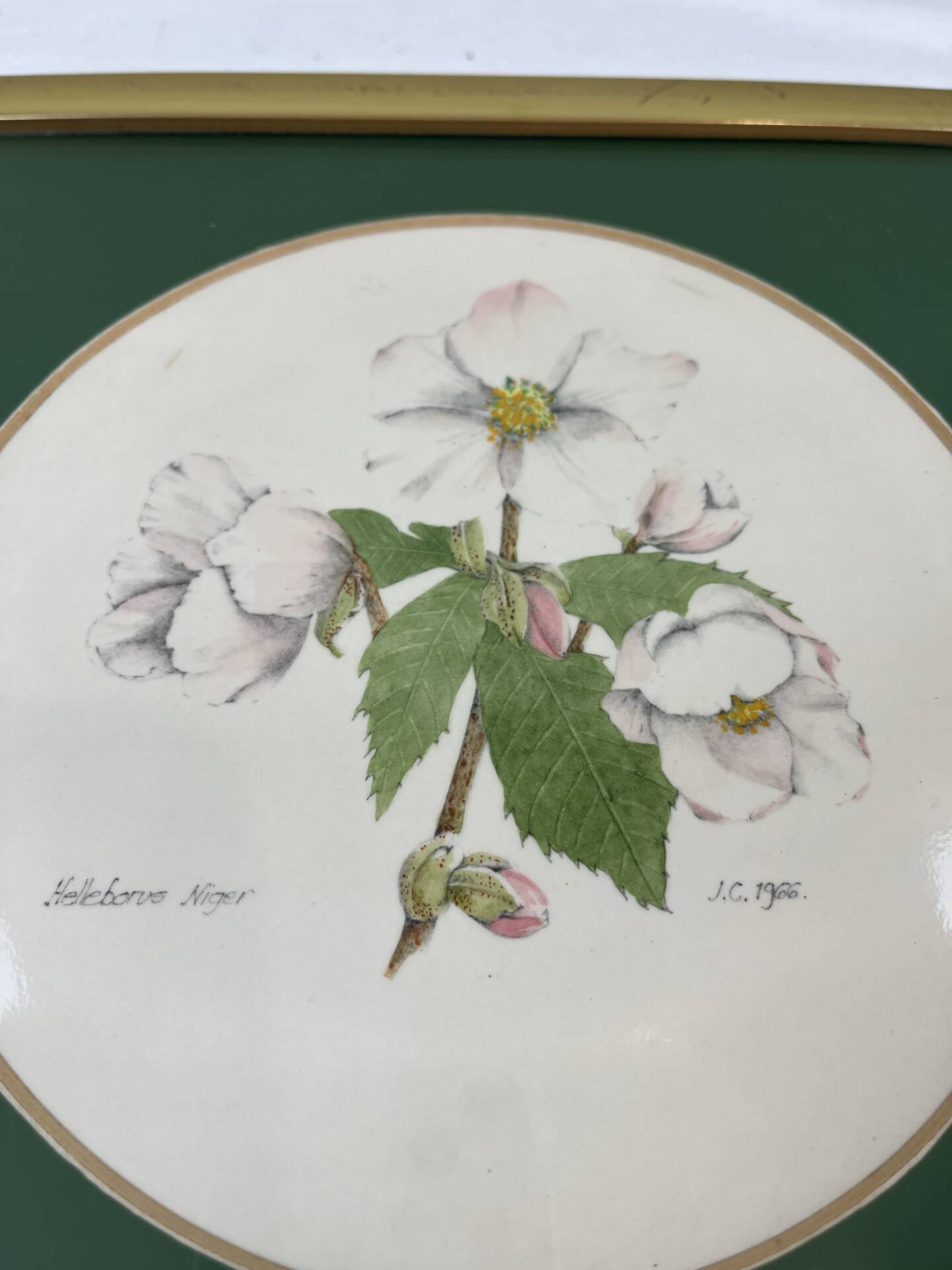 Hand-enhanced botanical plate