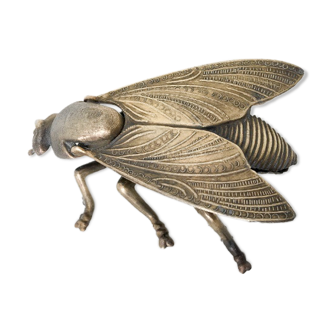 Golden ashtray fly