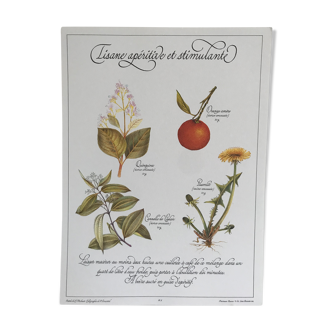 Vintage botanical plank