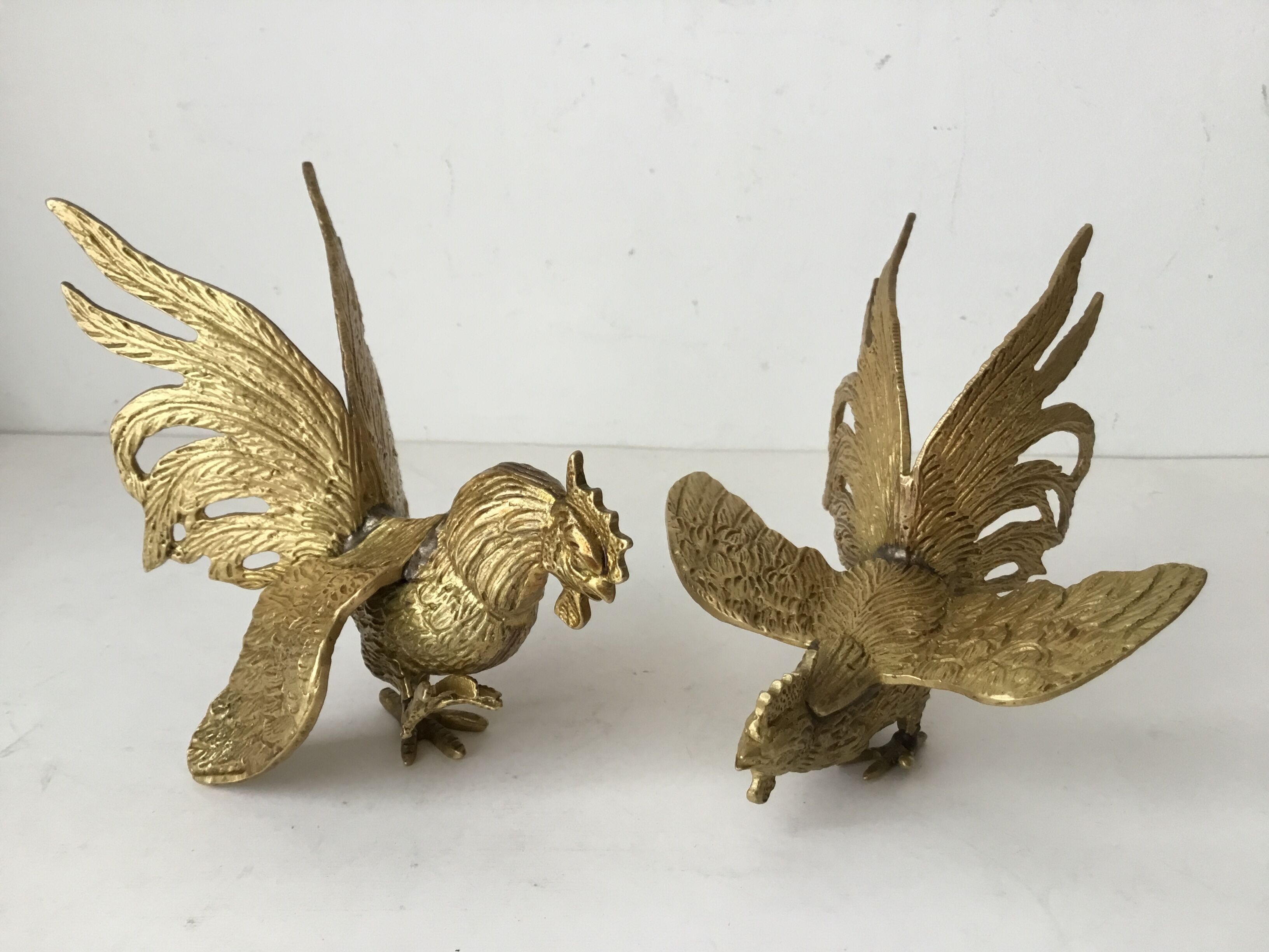 Couple de coqs au combat