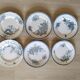 Set of 6 dinner plates in Terre de fer earthenware, blue color