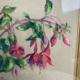 Old pastel Fuchsias framed