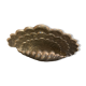 Shell lamp Vincent Garnier