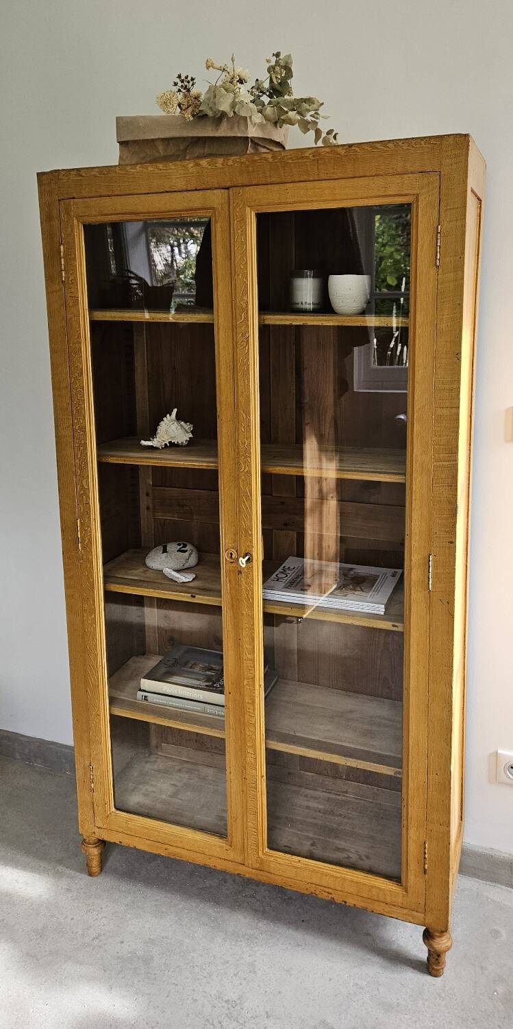 Vintage antique bookcase/curiosity cabinet/display case/shelves