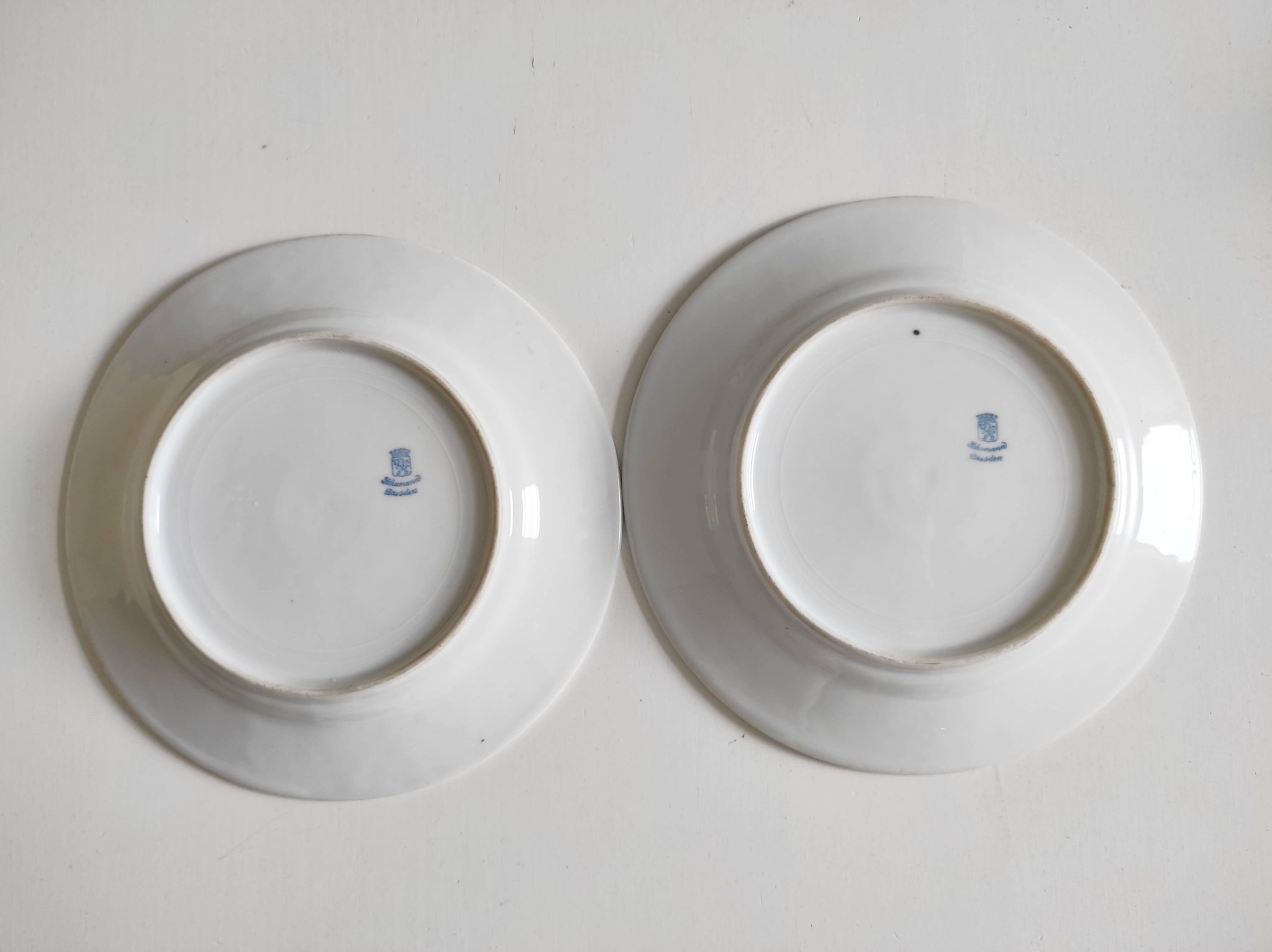 Paire d'assiettes fleuries porcelaine allemande