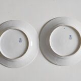Pair of German porcelain flower plates
