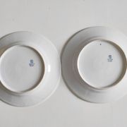Paire d'assiettes fleuries porcelaine allemande