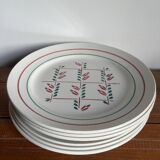 6 dinner plates