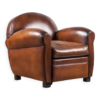 Club armchair model Billiards