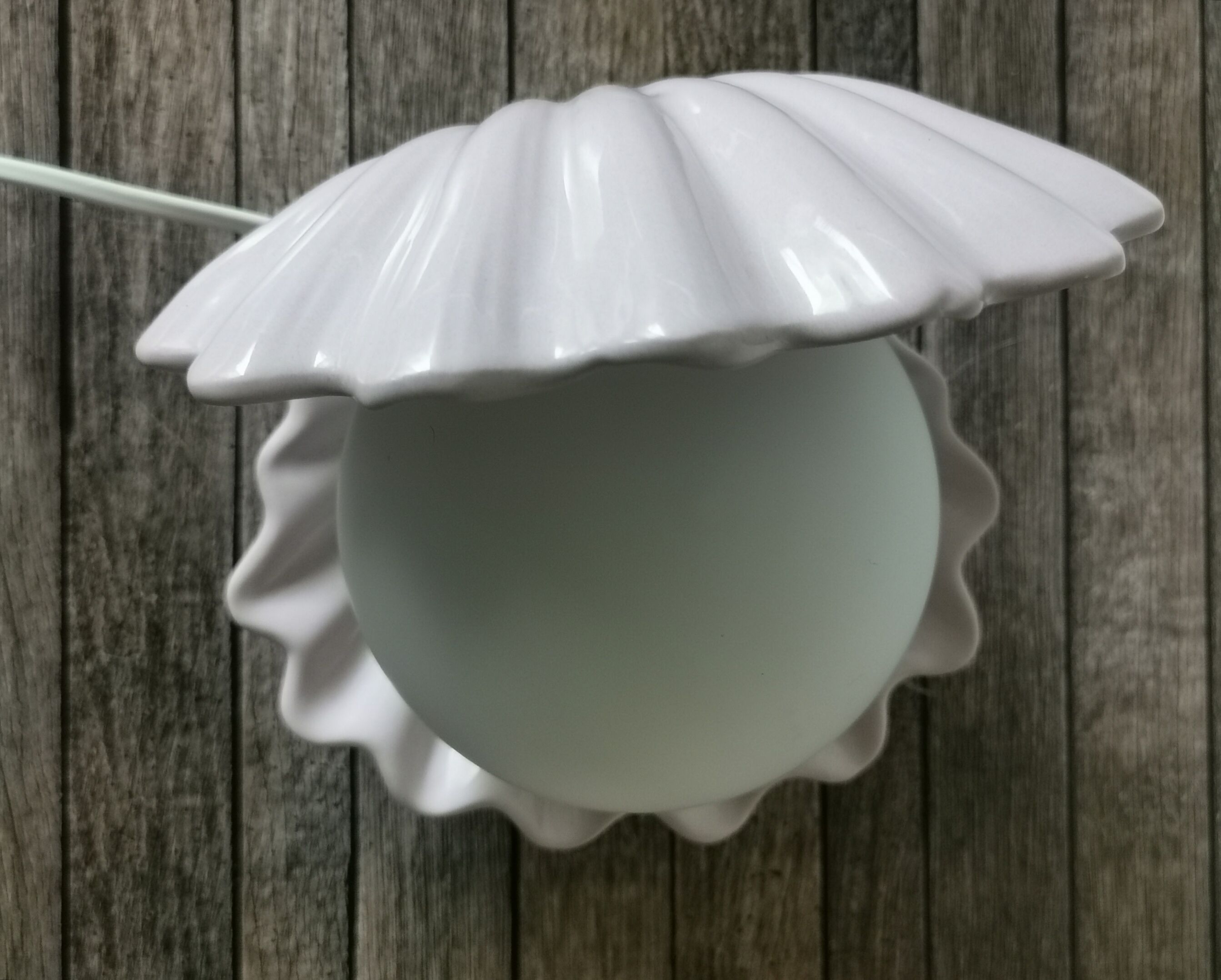 Opaline shell lamp