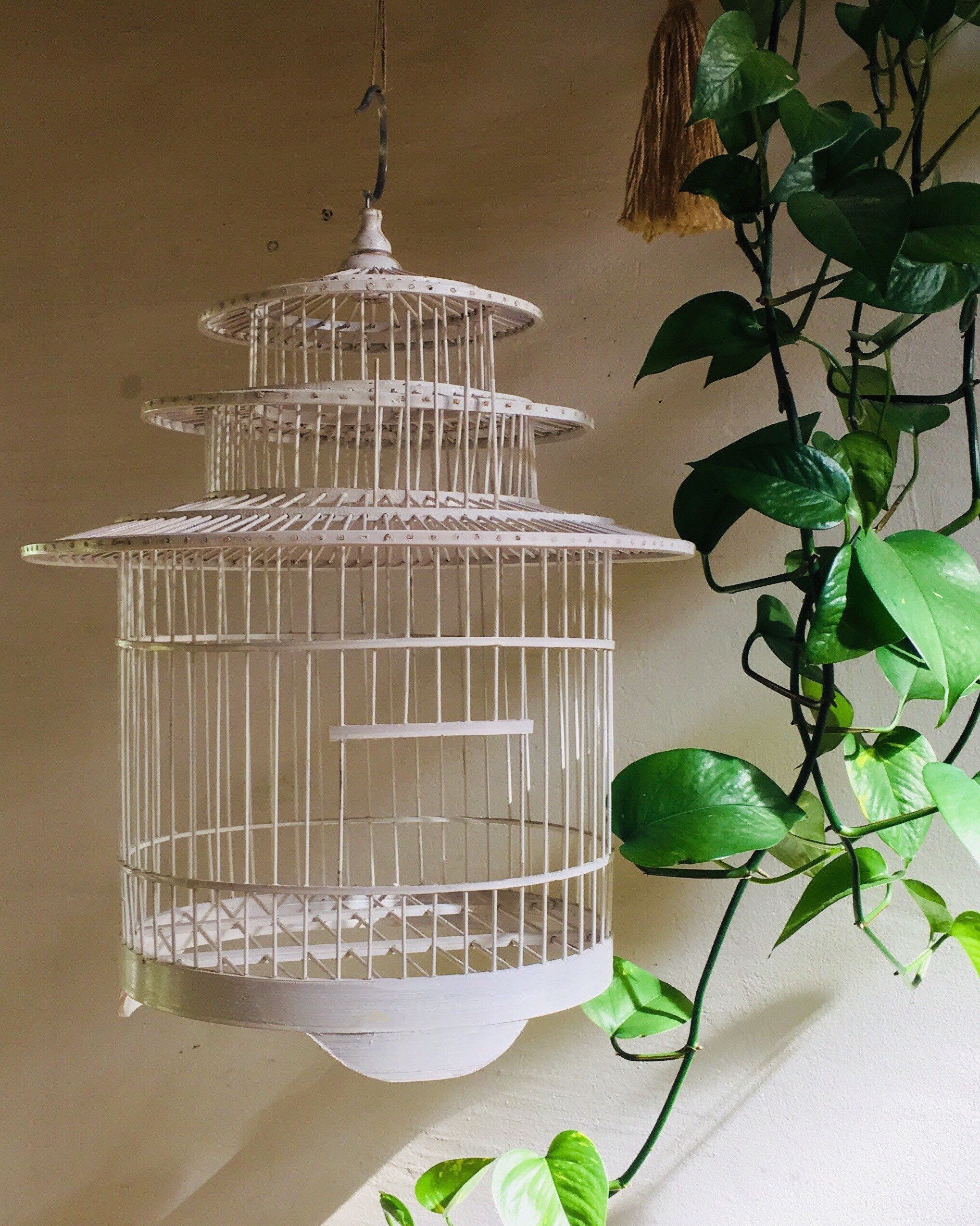 Cage à oiseau