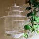 Cage à oiseau