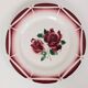 5 Digoin Sarreguemines dinner plates