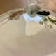 Service of 6 seafood plates Bassano Keramik – Velar – Italy