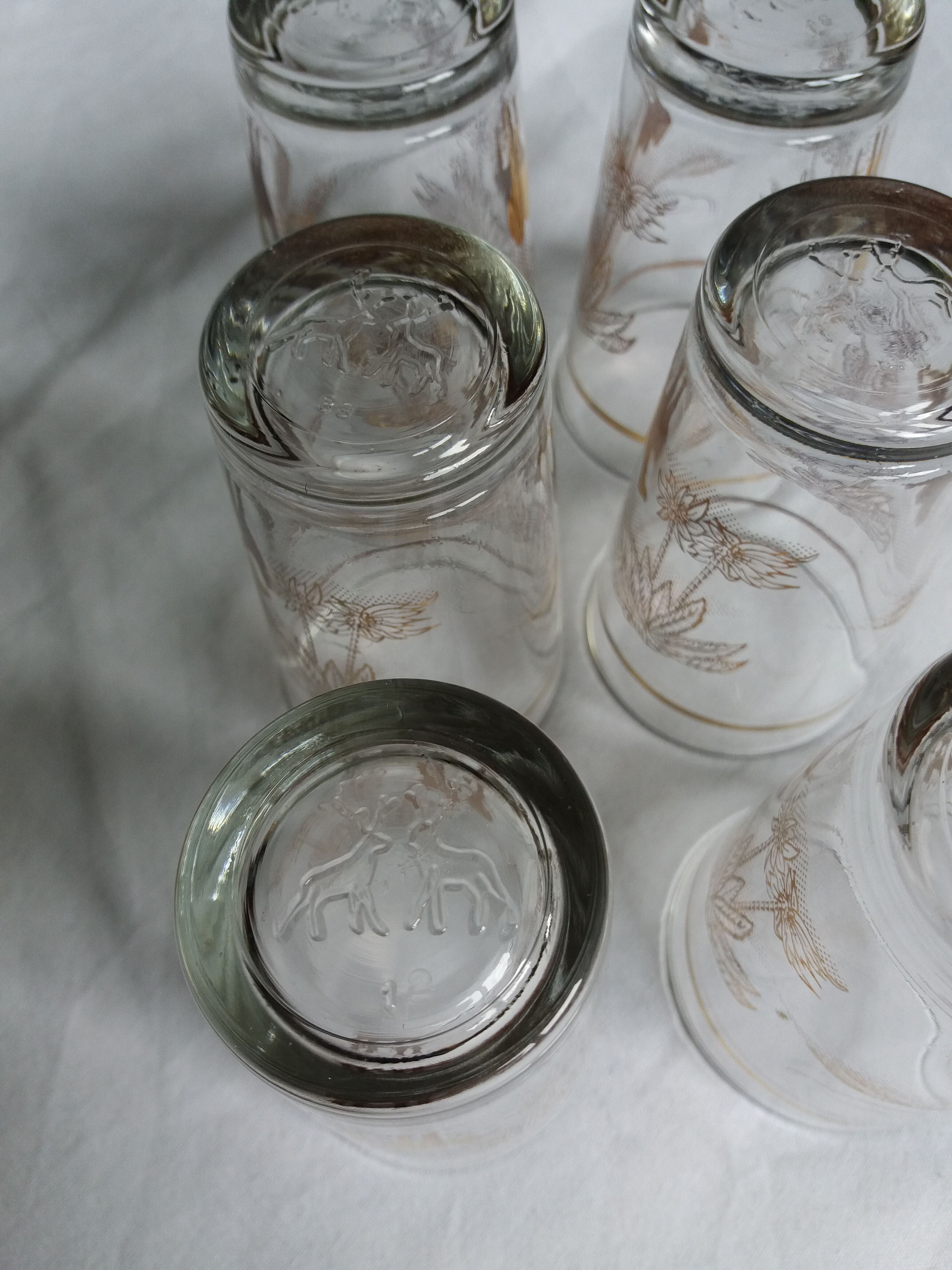 6 tea glasses golden décor camel palm