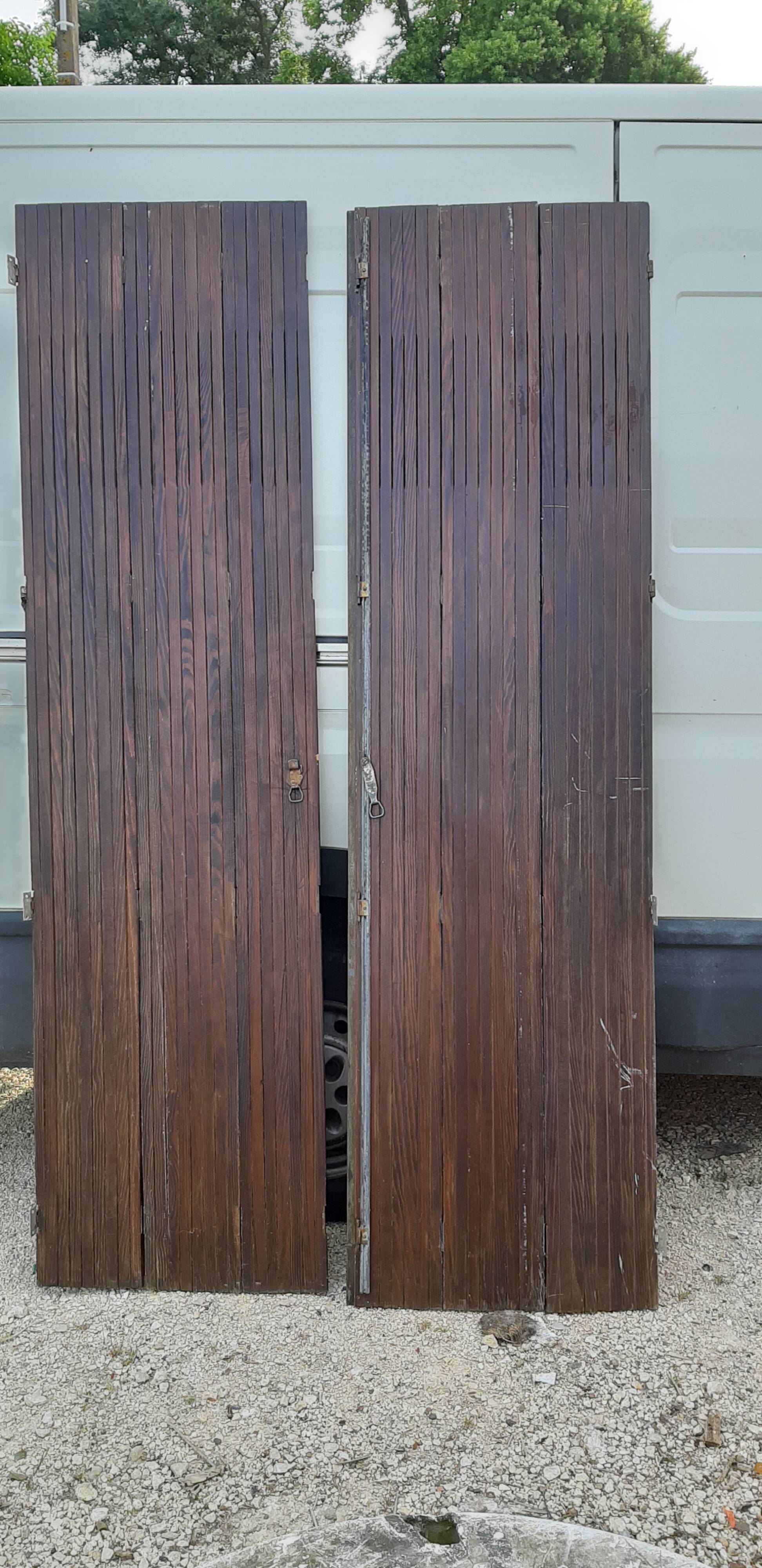 Ancient persians in pine