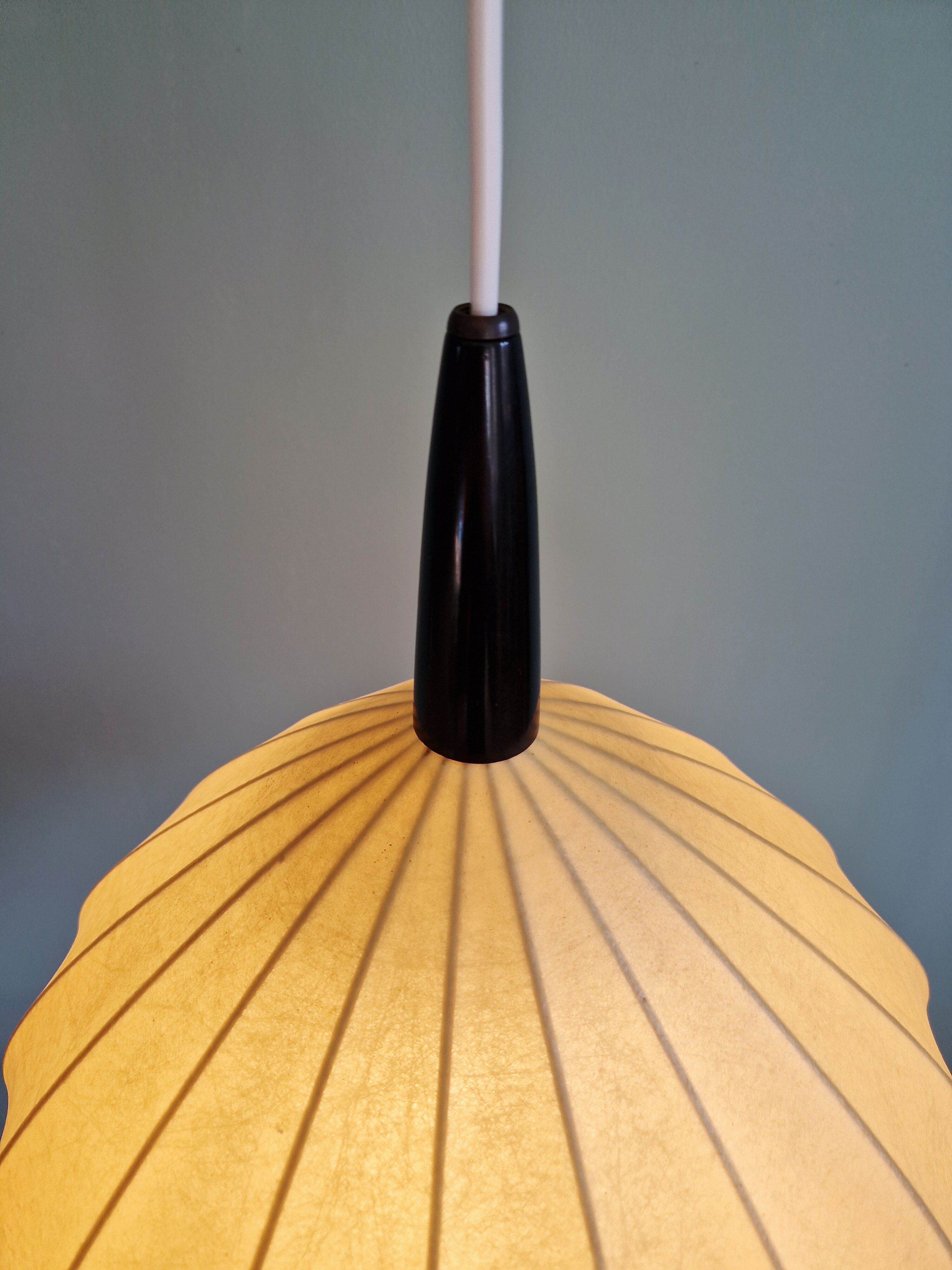 Onion-shaped suspension cocoon, 1960s