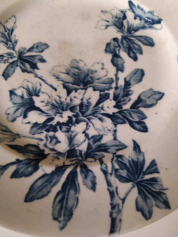 Azalea Luneville dish