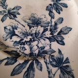 Plat Azalea Luneville